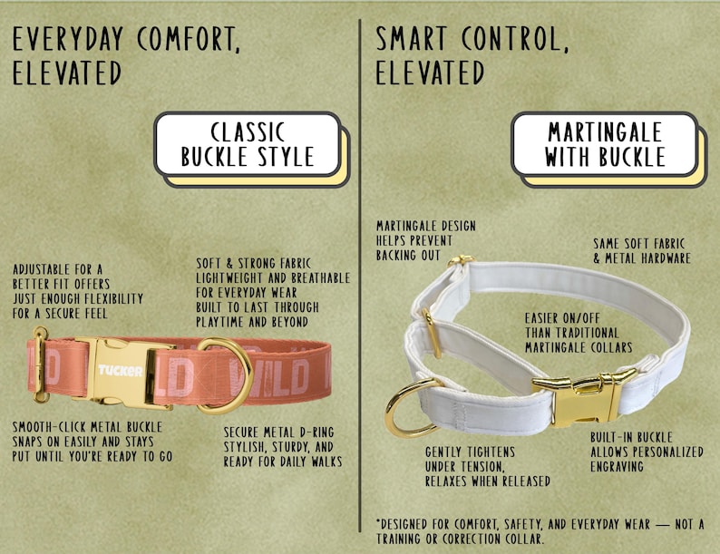 a diagram of how to wear a dog collar