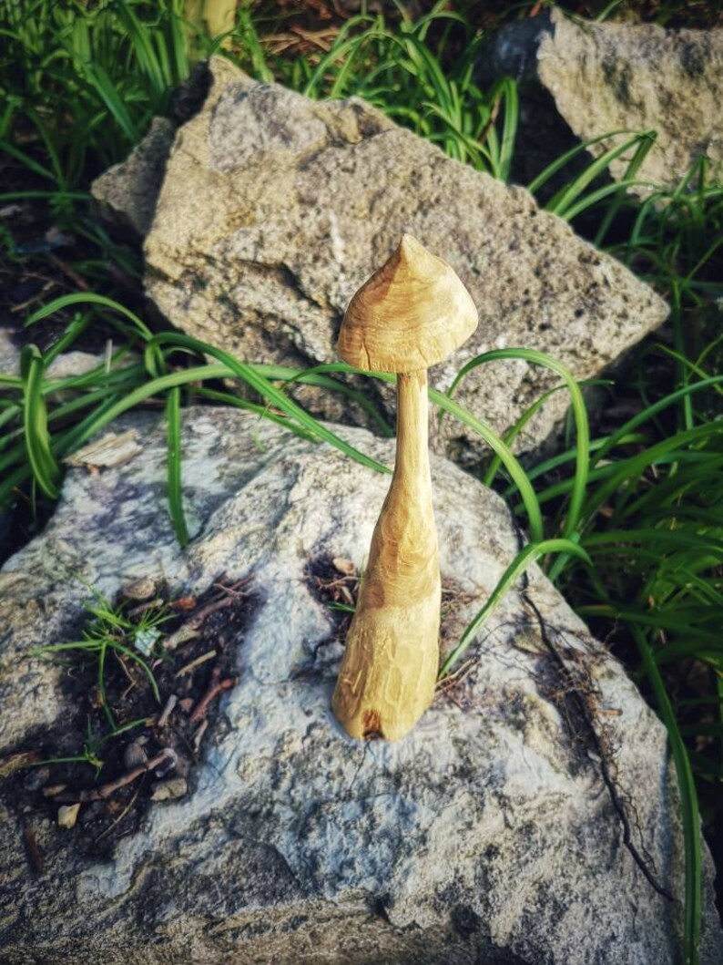 Handmade deadwood mushroom Unique handmade deadwood mushroom hand carved driftwood toadstool small home ornament little fungi