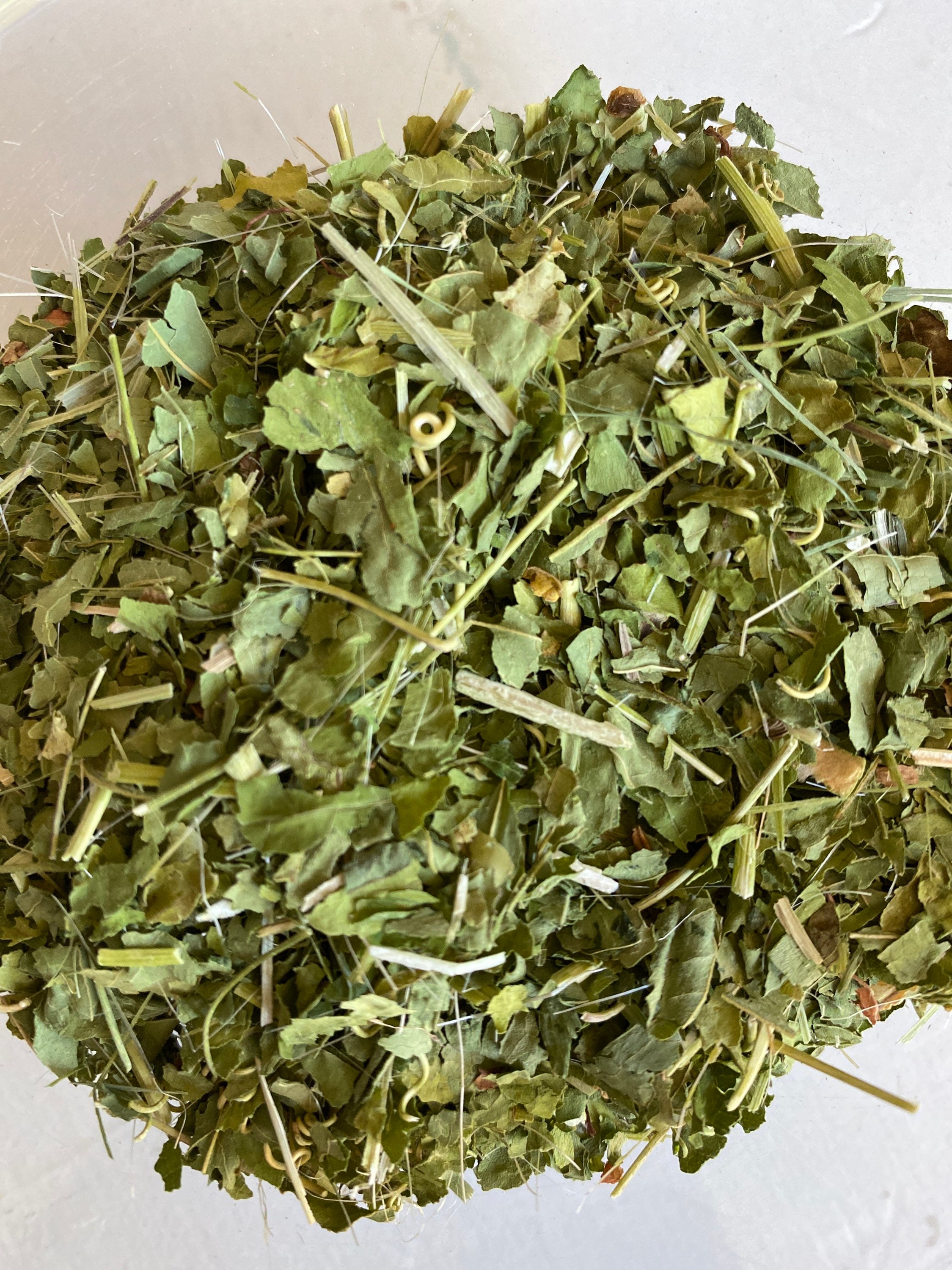 Dried Passion Flower Etsy