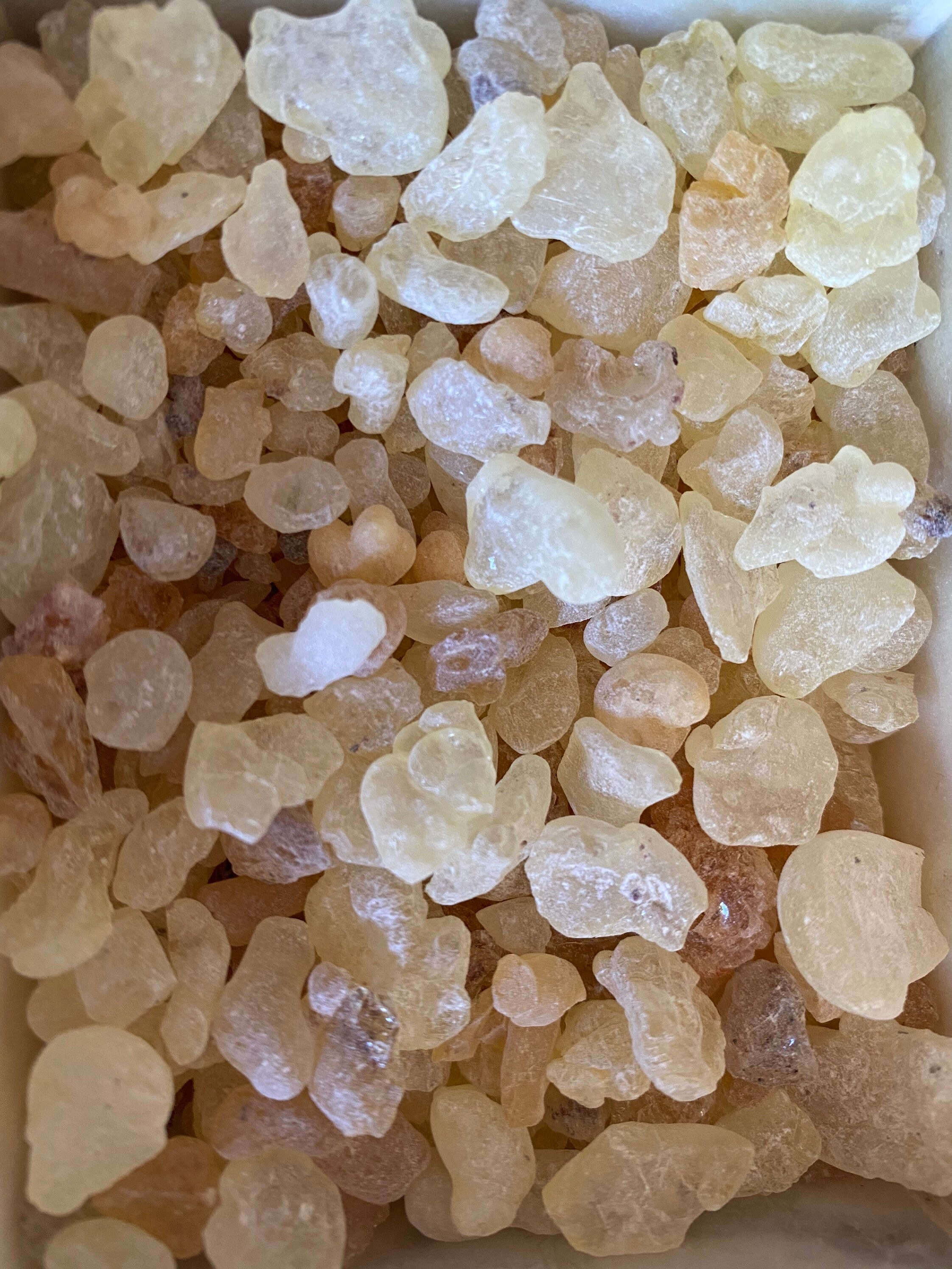 Gum Mastic Resin for Incense Etsy