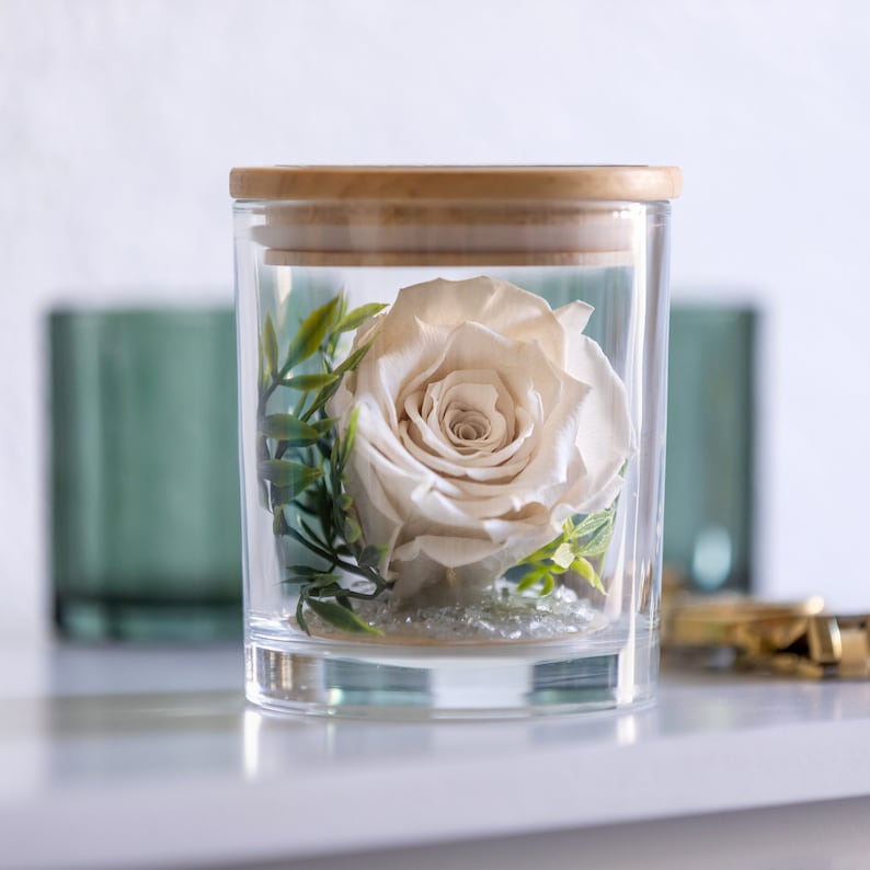 This is a beautiful preserved white rose in a glass jar with a wood lid. The perfect gift for someone you love.