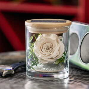 This is a beautiful preserved white rose in a glass jar with a wood lid. The perfect gift for someone you love.