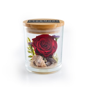 This is a beautiful preserved red rose with beach sand and sea shells in a glass jar with a wood lid. The perfect gift for someone you love.