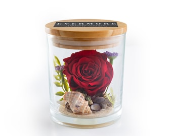 Preserved Rose Gift for Girlfriend - Gift for Wife - Anniversary Gift -  by The Evermore® Rose  - Rosa Playa -