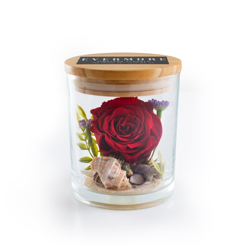 This is a beautiful preserved red rose with beach sand and sea shells in a glass jar with a wood lid. The perfect gift for someone you love.