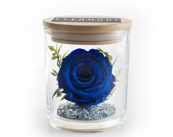 The Evermore® Preserved Blue Rose Keepsake Gift - gift for girlfriend - gift for wife - gifts for her - anniversary gift - birthday gift