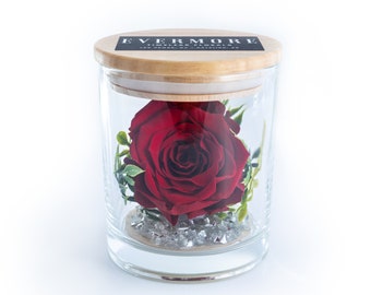 Preserved Red Rose Gift Jar: Valentines Handmade Everlasting Floral Keepsake
