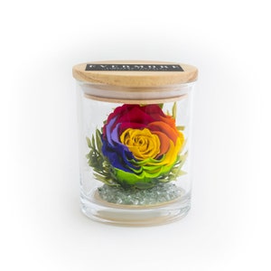Preserved Rainbow Rose Gift Jar: Handmade Everlasting Keepsake