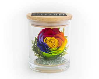 Preserved Rainbow Rose Keepsake Gift - gift for girlfriend - gift for wife - rainbow wedding - anniversary gift - birthday gift