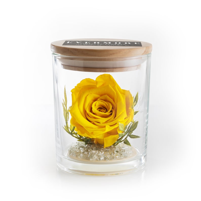 This is a beautiful preserved yellow rose in a glass jar with a wood lid. The perfect gift for someone you love.
