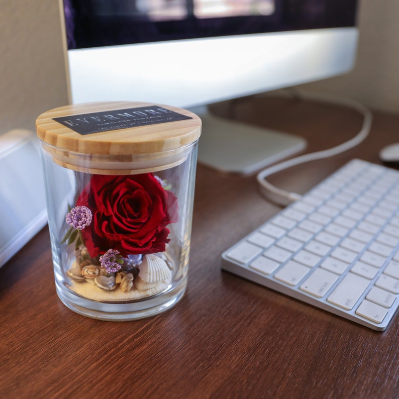 This is a beautiful preserved red rose with beach sand and sea shells in a glass jar with a wood lid. The perfect gift for someone you love.