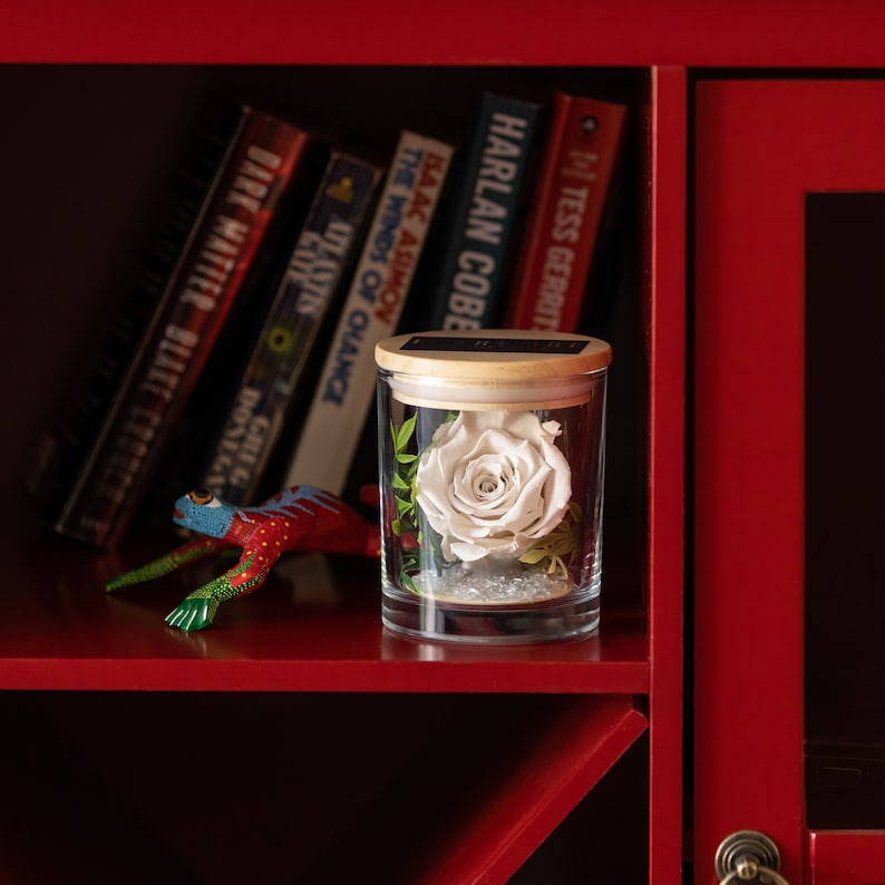 This is a beautiful preserved white rose in a glass jar with a wood lid. The perfect gift for someone you love.
