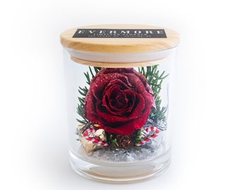 Evermore Preserved Red Rose Gift Jar: Christmas Keepsake