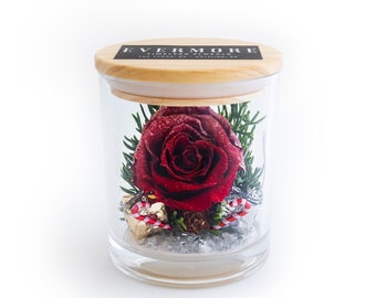 SPECIAL EDITION - The Evermore® Preserved Rose Keepsake Gift - CHRISTMAS - gift for girlfriend - gift for wife - birthday - anniversary gift