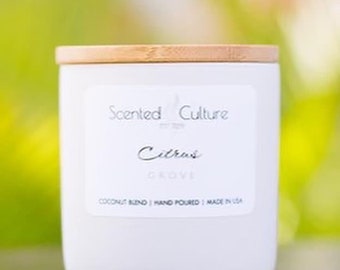 Citrus Grove | Citrus Scented Candle | Coconut Soy Wax | Refreshing Scent | Orange Candle | Scented Culture Candle