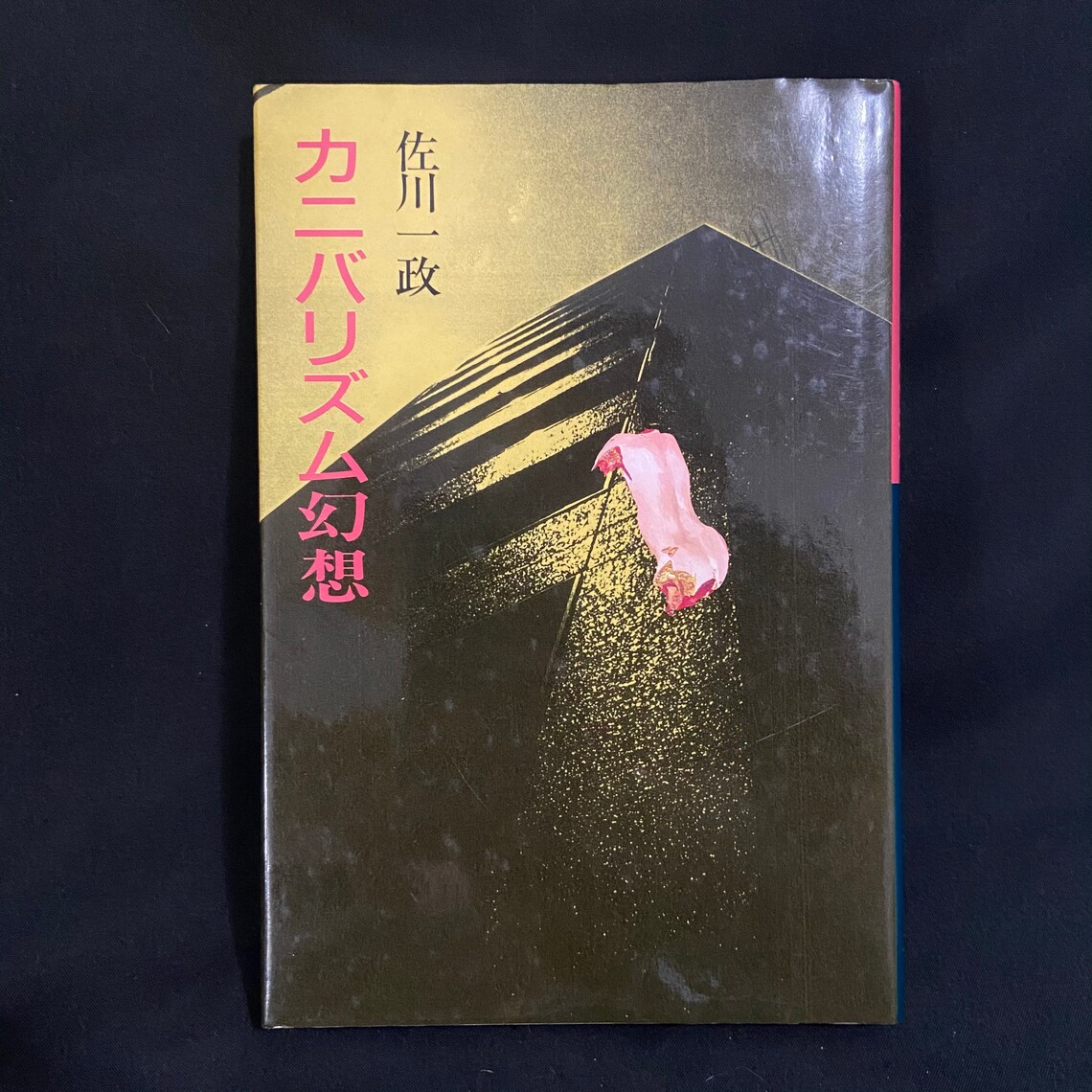 Cannibalism Illusion Issei Sagawa Book Etsy