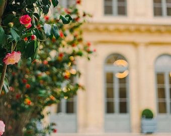 Parijs Rue de La Paix-gebouw lente roze bloemen fotografie Fine Art Print