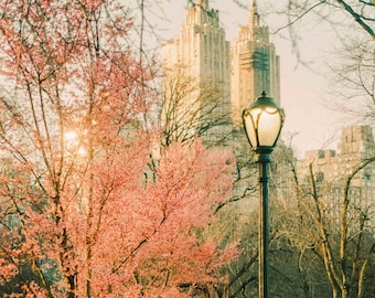 New York Twin Towers in Spring Central Park Film Photography Fine Art Print