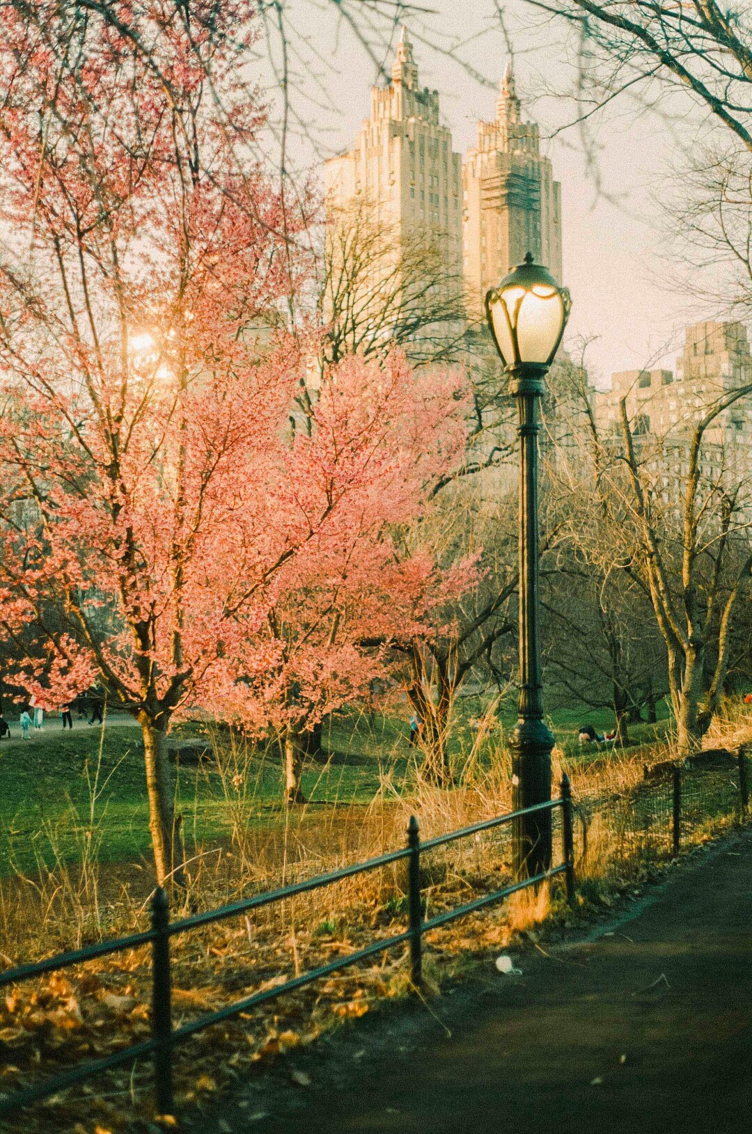 New York Twin Towers in Spring Central Park Film Photography Fine Art ...