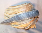 Artículos de esta tienda