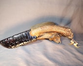 Artículos de esta tienda