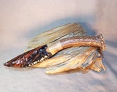 Artículos de esta tienda