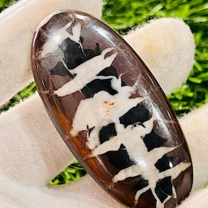 Large Septarian Cabochon Gemstone – Unique Natural Loose Stone (27x57 MM)