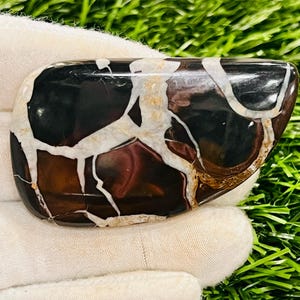 Large Septarian Cabochon Gemstone – Unique Natural Loose Stone (35x60 MM)