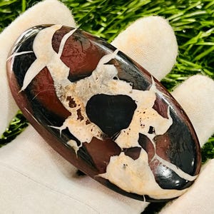 Large Septarian Cabochon Gemstone – Unique Natural Loose Stone (36x72 MM)