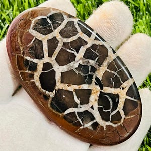 Large Septarian Cabochon Gemstone – Unique Natural Loose Stone (44x77 MM)