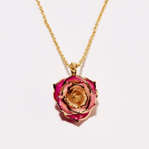 Gorgeous One-Of-a- Kind Peaches and Cream Eternal Necklace - Real Rose Dipped in 24k Gold