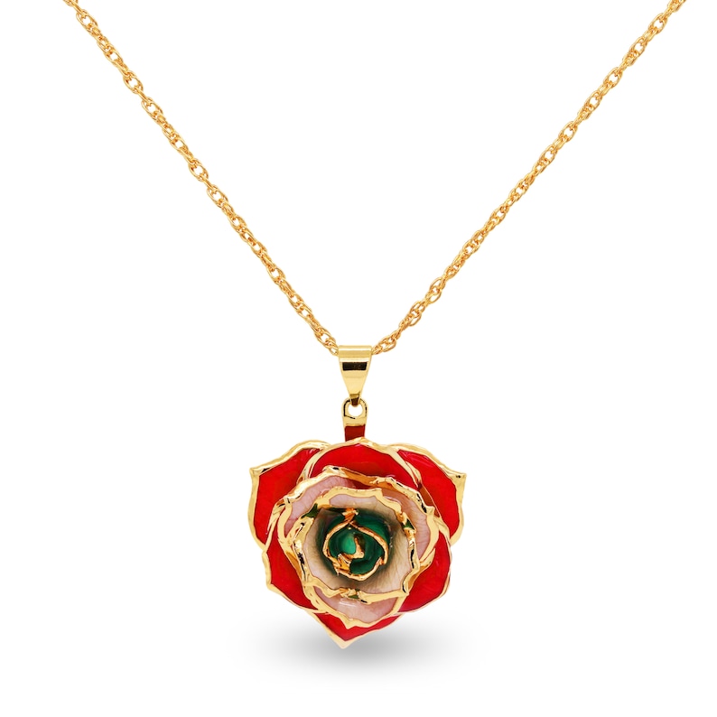 Pode incluir: Um colar de corrente de ouro com um pingente de rosa vermelha, branca e verde. A rosa &eacute; feita de porcelana e tem uma borda dourada.