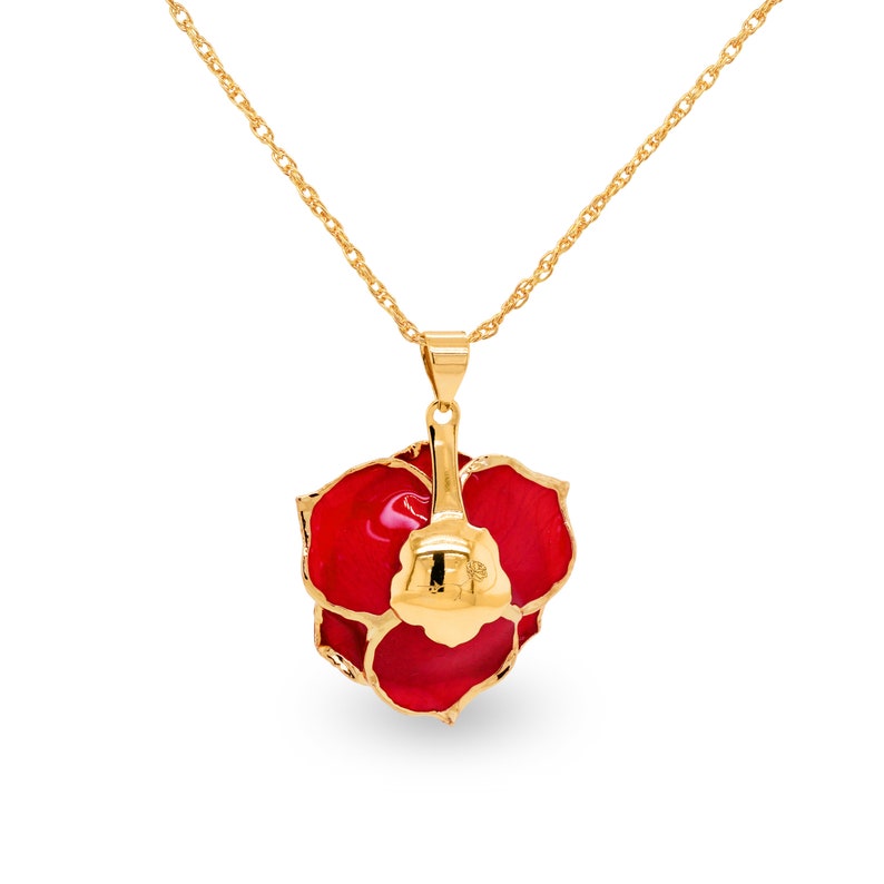 Pode incluir: Um colar de corrente de ouro com um pingente de rosa vermelha. A rosa &eacute; feita de rosas reais preservadas e &eacute; revestida a ouro.