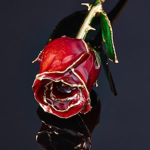 24k Gold Real Rose - Closed Bud - Eternal Rose - Pearl Collection - Crimson Love
