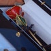 Eternal Rose
