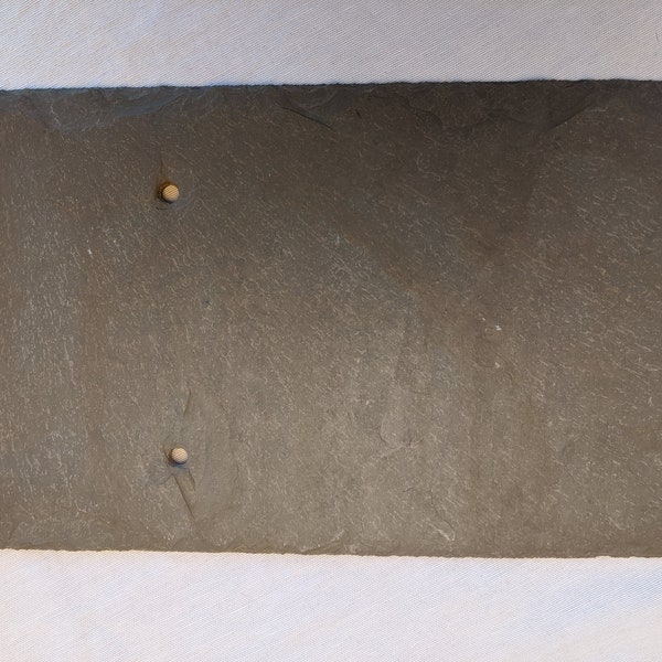 Reptile Slate Tile Etsy