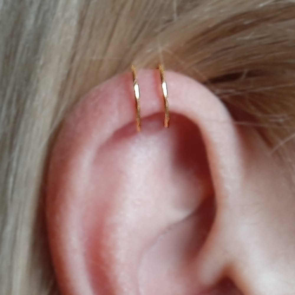 Double ring shop cartilage piercing