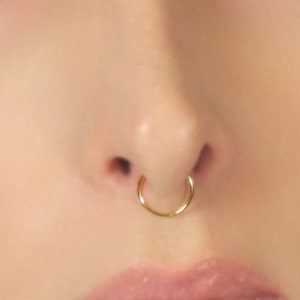 Fake Septum Ring Nose Rings Gold,Silver, Rose gold. image 4