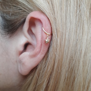 Gold filled helixoorbel met sterhanger.