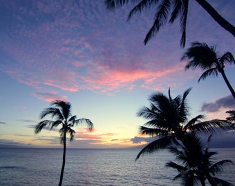 Digital image of a beautiful colorful Maui Hawaiian sunset with palm trees, clouds, the Pacific Ocean and islands in the background