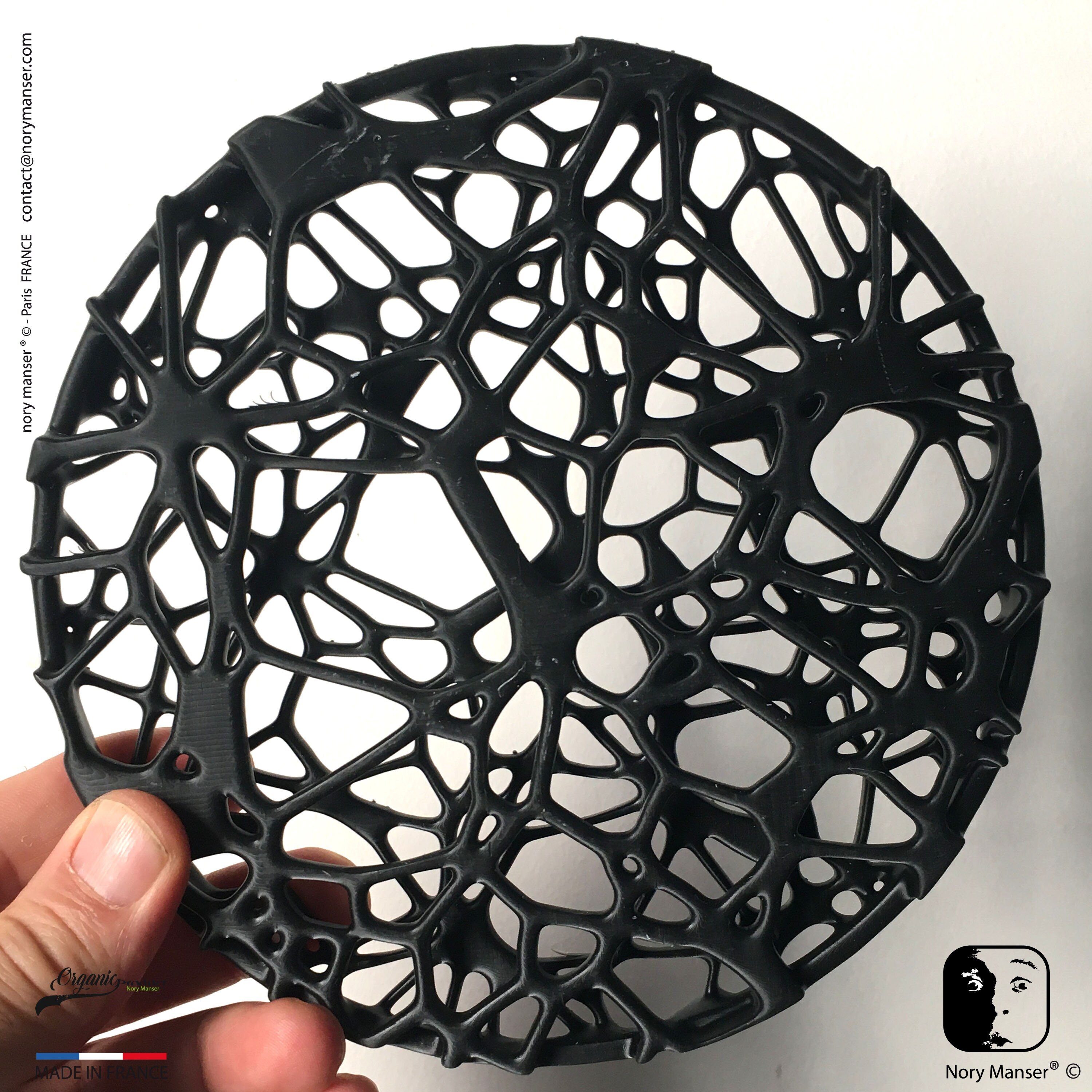 Ikebana 02 Nervus-Systeme 2.0 Les Tiges de Fleurs Servent Pieds Pour Que Le Bouquet Se Maintienne Él