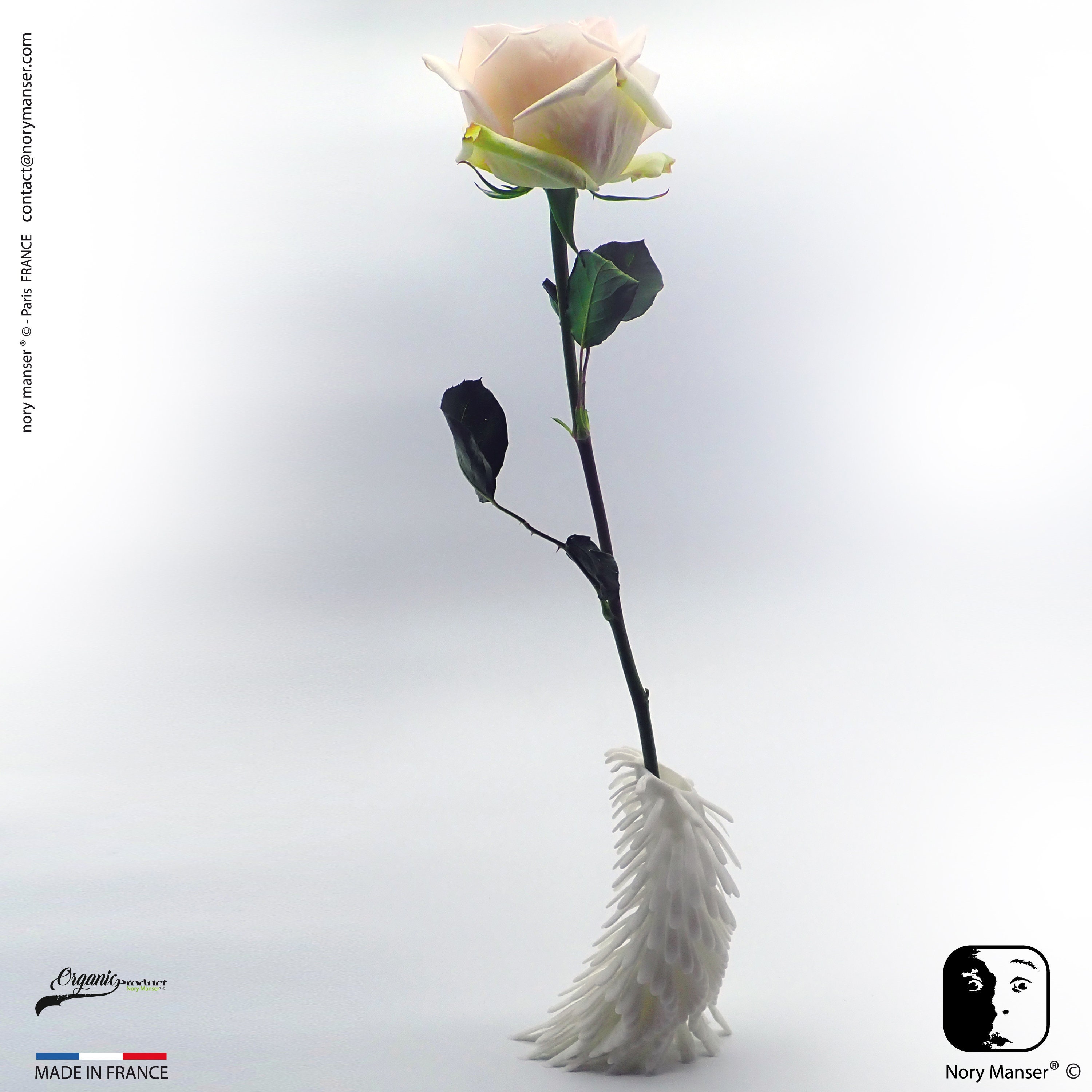 Cactus Elévation Panache 1.0 Chaque Soliflore Est Unique, Créé Pour Des Personnes Uniques Idée Cadea