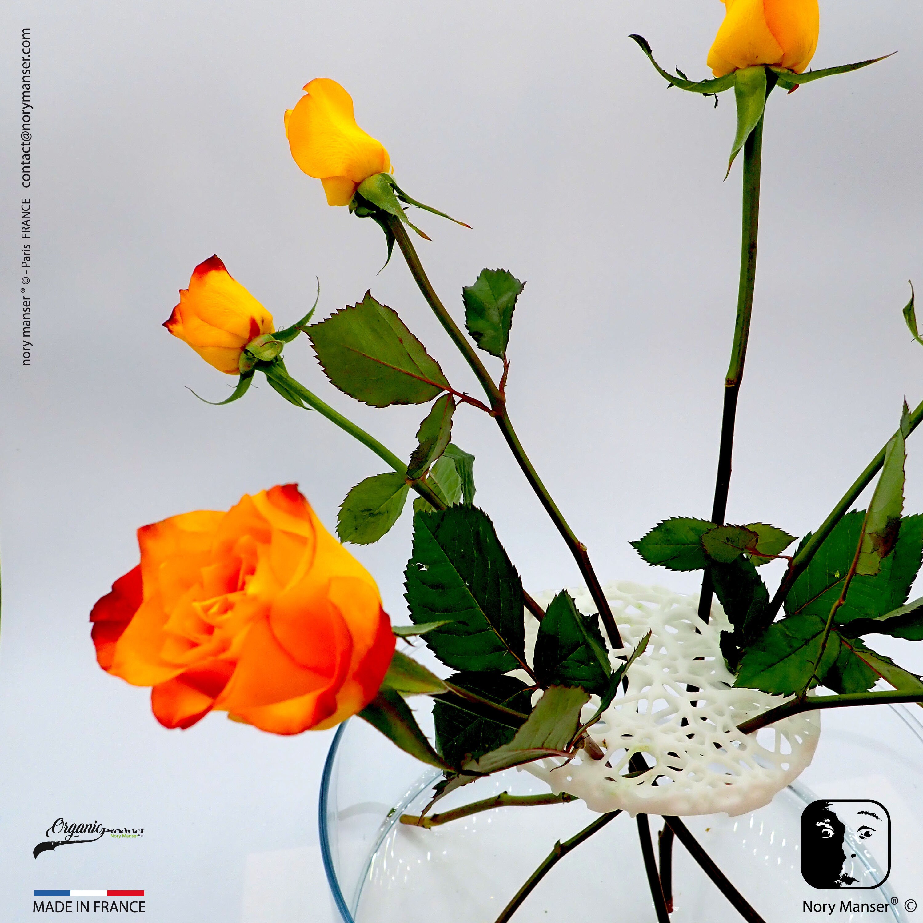 Ikebana 02 Nervus-Systeme 1.0 Les Tiges de Fleurs Servent Pieds Pour Que Le Bouquet Se Maintienne Él