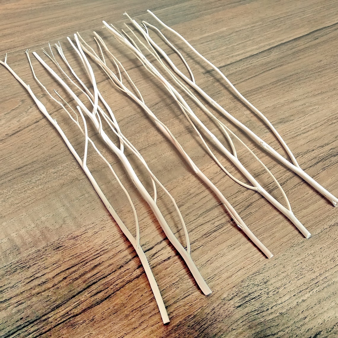 50100 Branch Diffuser Reed Sticks Natural Wood 10 Inch Etsy Israel