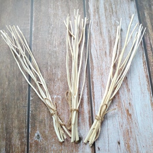 10 Inch Diffuser Reed Sticks, Natural Wood Branches, DIY Home Decor