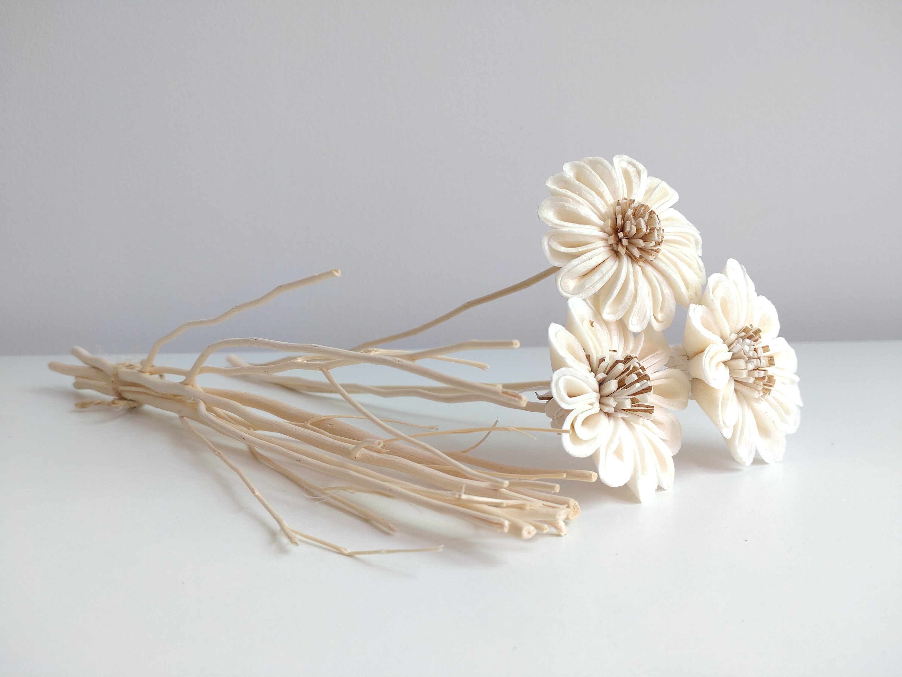 Diffuser Flower Pattern Sunflower Sola Wood Diffuser Flowers With 10 Inch Reeds. - Etsy