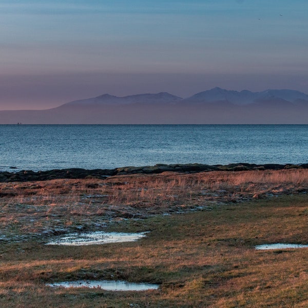 Purple Horizon