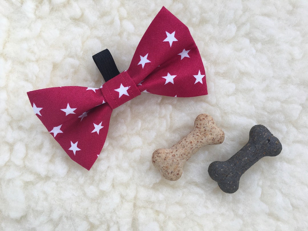 dickie bow tie for dogs