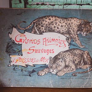 Vintage Children&#39;s Alphabet Book: Wild Animals & Fish Illustrations by Epinal-Pellerin