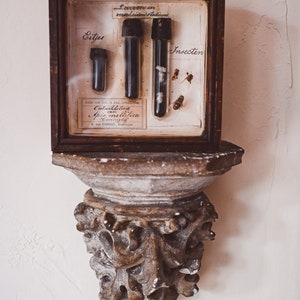 May include: A vintage wooden frame with a glass display case containing three glass vials filled with insects and a label that reads "Larven in verscheiden stadisione Atelier voor Zoll, on Ontwikkeling Apis mellifica Corning by A van EGMOND, Green". The frame is mounted on a decorative, ornate, gray stone shelf.